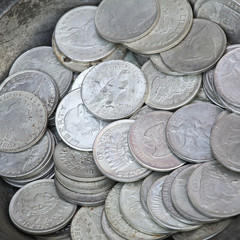 Silver Dollars