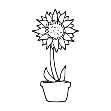 black and white cartoon sunflower