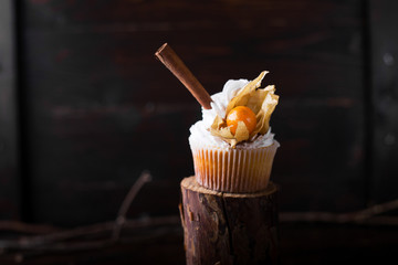 Chocolate cupcakes with white butter cream, decorated with winter cherry on a dark wooden background. Decorated with cinnamon sticks