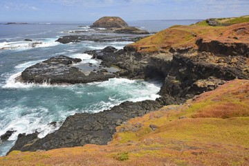 View from the Phillip Island towards the Nobbies. 