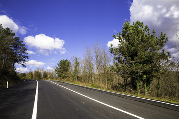Empty rural asphalt road in Istanbul boreal forests during spring
