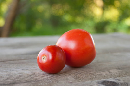 Two ripe red tomatoes on an old wooden table in  country garden in summer day