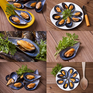 set prepared mussels on wooden background