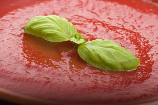  pot with tomato sauce and basil leaves