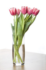 Vase of Tulips