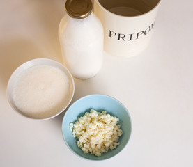 Kefir, organic probiotic grains