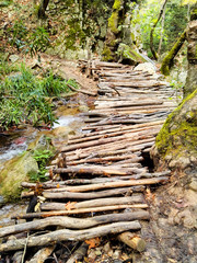 Holzsteg aus Baumstämmen
