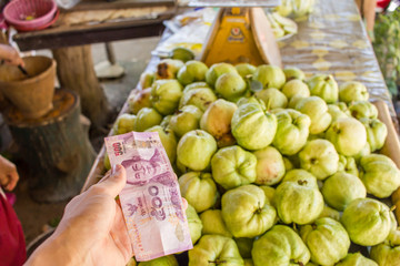 Guava  for sell at street market - thailand
