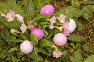 Easter eggs on spring flowers field