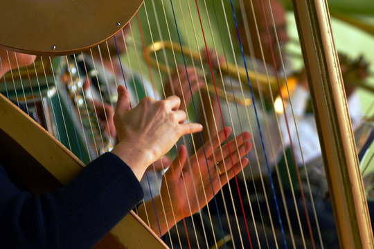 Harp