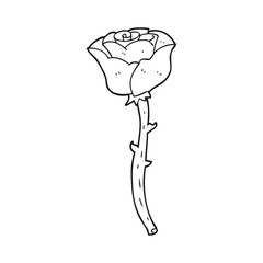 black and white cartoon rose