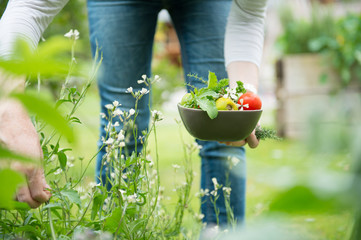 Junge Frau pflückt Kräuter im eigenen Garten