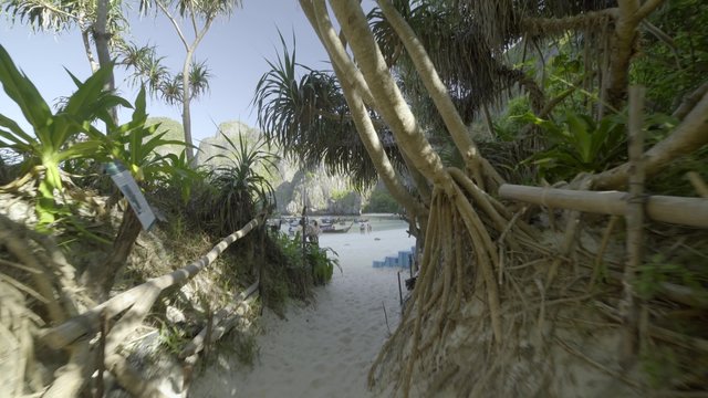Path to Maya Bay beach from the movie "The Beach"
