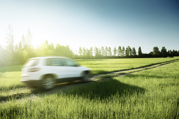 Fototapeta na wymiar spring field and blured car on ground road