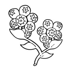 black and white cartoon blueberries