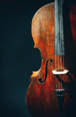 Vintage cello on dark background © Africa Studio