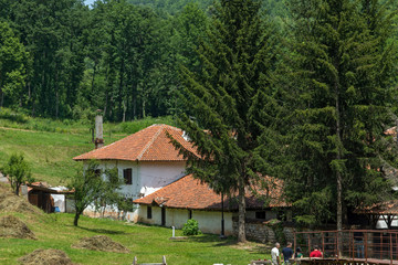 Fototapeta na wymiar Balkan Mountain and Poganovo Monastery of St. John the Theologian, Serbia
