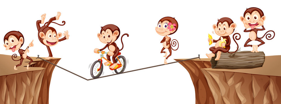 Monkeys playing on the rope