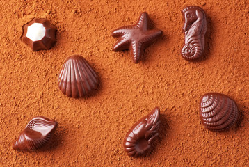Chocolate candies on sea subjects on background of cocoa powder