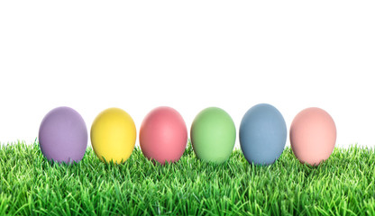 Easter eggs decoration in green grass on white background