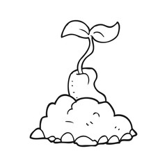 black and white cartoon sprouting seed