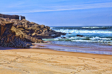 Sea wave on the shore