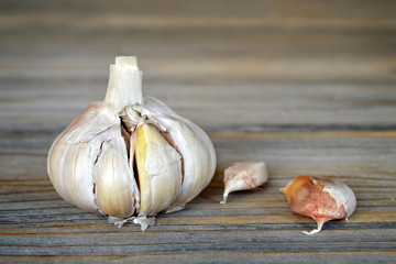 Fresh garlic on wooden background