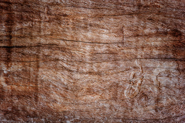 Obraz premium Wood texture background