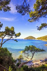 Elba island sea, Portoferraio Viticcio beach coast and trees. Tu - obrazy, fototapety, plakaty