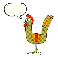 comic book speech bubble cartoon chicken