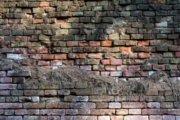 red-orange brick wall with shadows 1