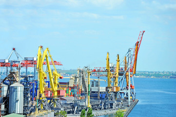 Container stack and ship under crane bridge