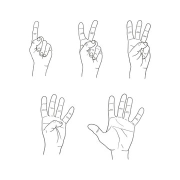 hands fingers numeral set on white background