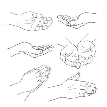 hands palm set linear drawing on white background