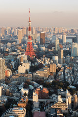 Tokyo Skyline at sunset.