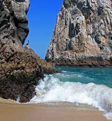 Naklejka premium Pelican perched on Los Arcos (Lands End) in Cabo San Lucas Baja Mexico
