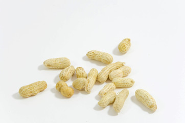 peanut with shells