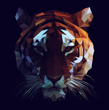 Vector Tiger Illustration