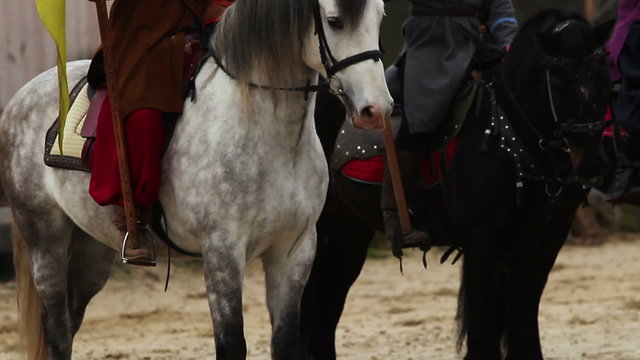 Beautiful horses with riders standing before an old fortress, Middle Ages