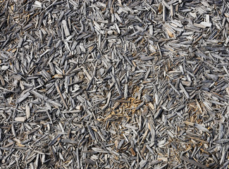 high angle view of mulch background in garden