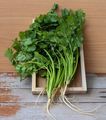 coriander leaves with wooden background