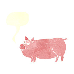 retro speech bubble cartoon huge pig
