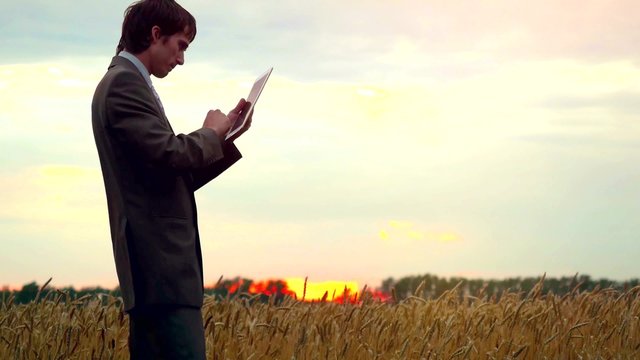 Businessman on a wheat field using a tablet. 4k