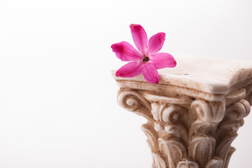 Classical column with flower