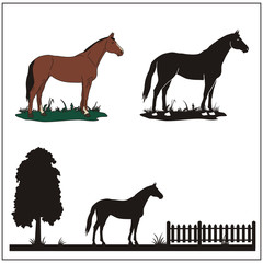 Horse collection - vector silhouette
