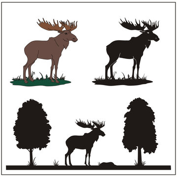 vector set moose, elk