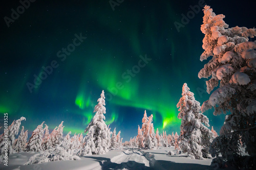 The Northern Lights in Winter, Churchill, Manitoba, Canada без смс