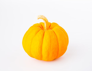 pumpkin on white background