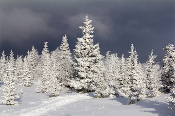 Winter in the mountains