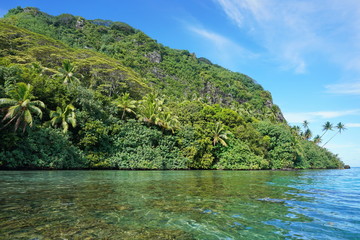 Fototapeta na wymiar Coastal landscape with lush green vegetation on unspoiled shore, Huahine island, Pacific ocean, French Polynesia
